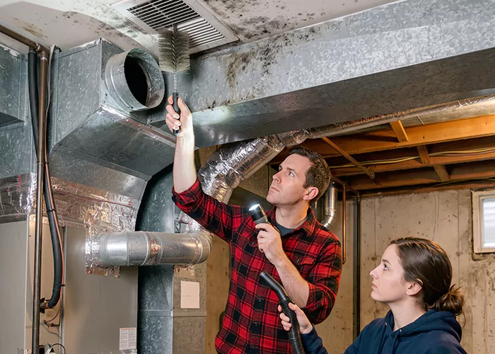 Premier HVAC Mold Remediation Company in Franklin Township